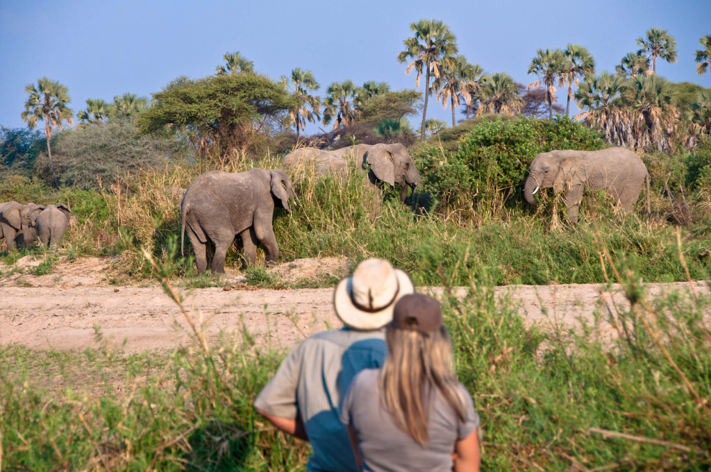 Tanzania-Walking-Safaris-1-1024x680